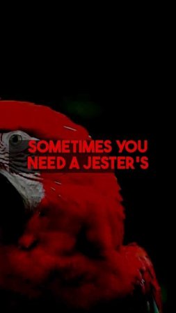 Examining todays facts feels strange, like the productivity paradox. We need a jester's view for...