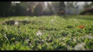 Мелодии, которые превращают обычную поездку в свидание с миром - Ghost (Instrumental) -- Forget the