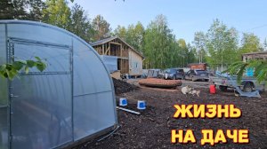 Могут отравить/капельный полив пошёл не по плану/купила посуду для похода/сметанные кексы.