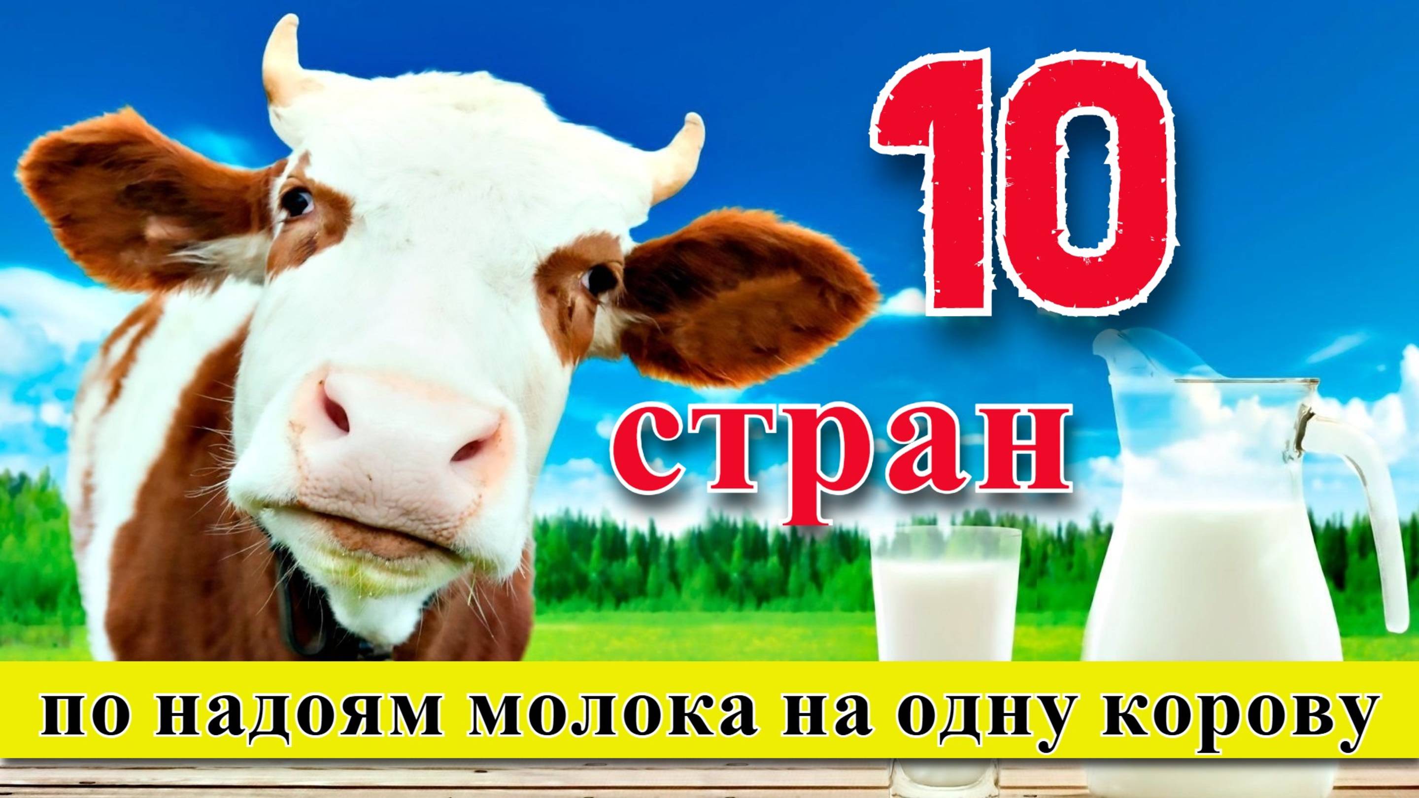 Надои молока: ТОП 10 стран по надоям молока на одну корову (1961–2023)