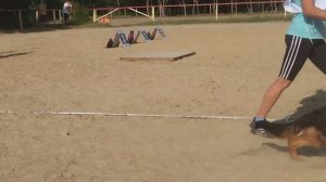 БЕБИ СУКИ / КЧК НОВОРОССИЙСК 13 июня`25 Ю.Овсянникова Моно немецких овчарок