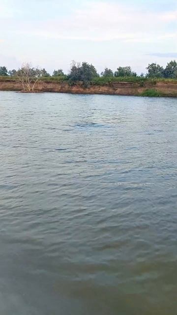 ощущения ПОСЛЕ МОРЯ ️ Как вам в речке? смотреть онлайн