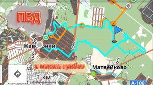 Снова в лес