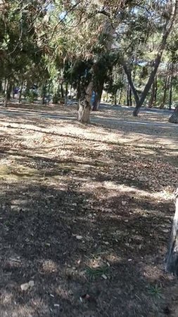 В Джемете.