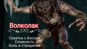 Волколак / Ведьмак 3: Дикая охота