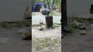 Люди вечером гуляли, вороны утром доедали... 🐦⬛