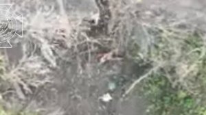 Уничтожение пехоты ВСУ.