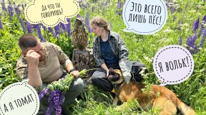 Кто тут самая красивая сова? - Пёс Кубик! Все хотят фото с совой-главзвездовой!