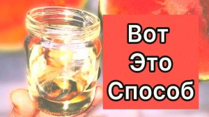 Просто возьми банку и ВОТ ЧТО БУДЕТ! Лучший способ избавиться от мошек на кухне и дома за 5 минут