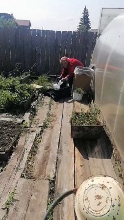 деревня,