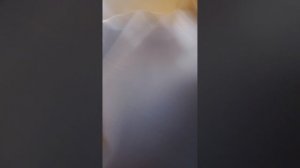 влог день