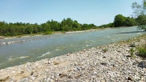 Кубань. Псебай. Предгорье Кавказа. июнь 2025. Река Лаба после затяжных ливней