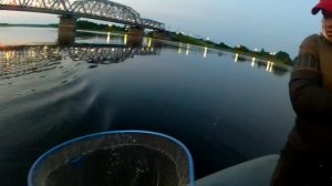 Река Волхов 11.06.25