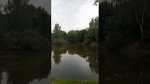13.06.2025 год. Один день в деревне Нижнее Велино в Подмосковье