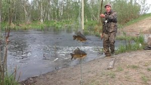 ЛАПТИ КАРАСИ НА СЕВЕРЕ ЭТО РЕДКОСТЬ!!! НО ВСЕ ЖЕ Я ИХ ПОЙМАЛ!!! НА УДОЧКУ ОНИ У НАС НЕ КЛЮЮТ!!!