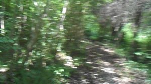 Туапсе пенсионат весна