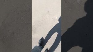 VID_20250420_111938