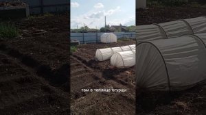 посадки полным ходом