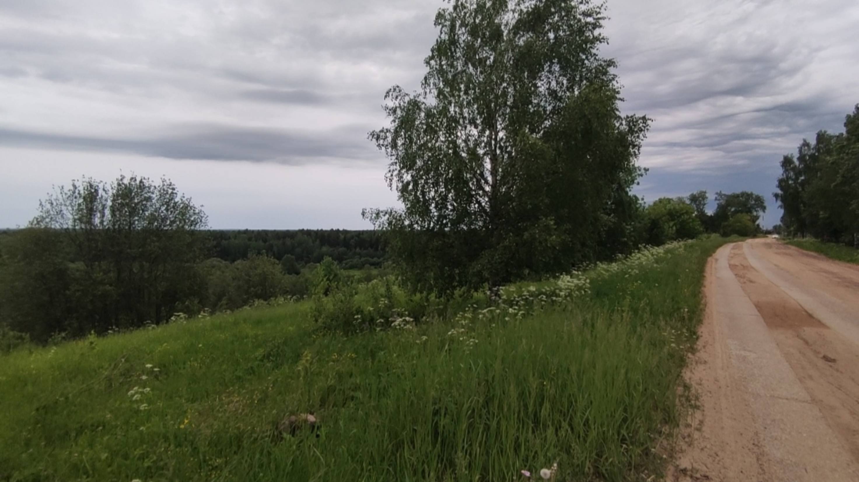 От этой песни из семидесятых щемит в душе... Родина