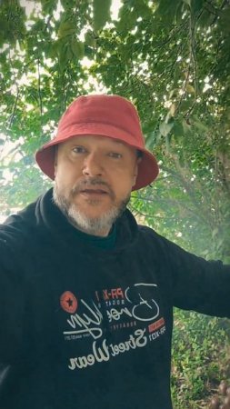 Мангал без раствора из кирпичей