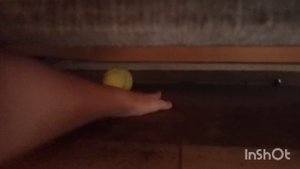 Играю с собакой бабушки, влог.