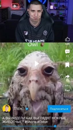 Всё моё настроение(не правда)