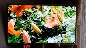 Важные вопросы похудения