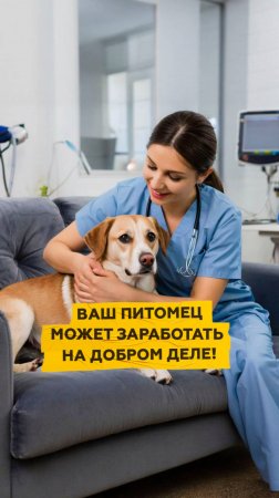 Ваш питомец может стать героем и заработать деньги!