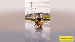 55 ЖИВОТНЫХ С НЕВЕРОЯТНЫМИ СВЕРХСПОСОБНОСТЯМИ