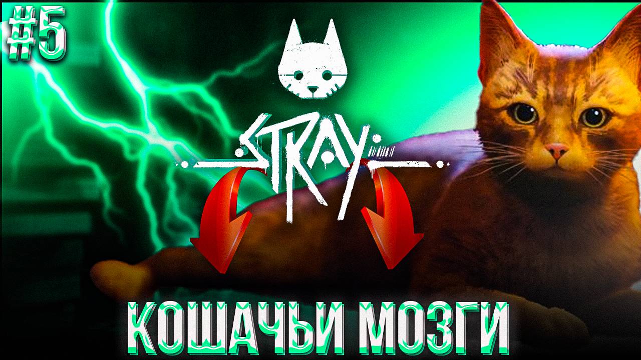 #5 STRAY | ИСТОРИЯ Б-12 | В ПОГОНЕ ЗА ВОСПОМИНАНИЯМИ