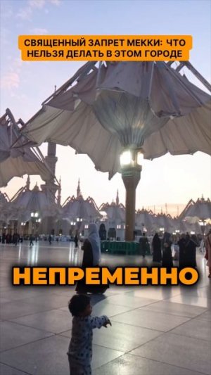 Священный запрет Мекки  что нельзя делать в этом городе