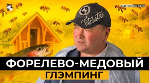 Форелево-медовый рай. Как фермер из Татарстана создает глэмпинг-ферму с лошадьми, быками и овцами