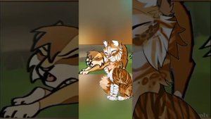 Теория :что было бы если Щерберт осталось воительницой?!?!?!