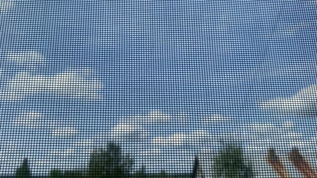 The weather outside the window in our village: летом жизнь легка