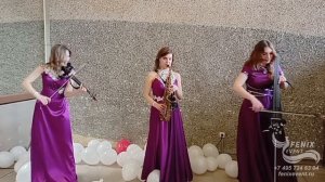 Заказать струнный коллектив на встречу гостей в Москве - живая музыка на праздник и свадьбу