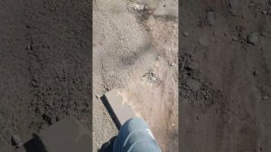 VID_20250420_113408