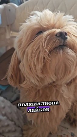 Где справедливость?