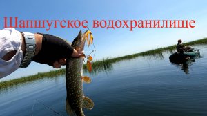 Шапсугское водохранилище, рыбалка, ловим щуку с лодок спиннингом.08.06.2025