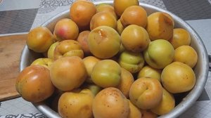Гроза сломала вишню 🍒 Мариную огурцы🥒🥒 Абрикосы🍑 Кошечки 😻Цыплята🐤🐥 Дом в станице🏠