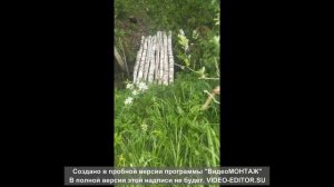 проверка подкормочной площадки