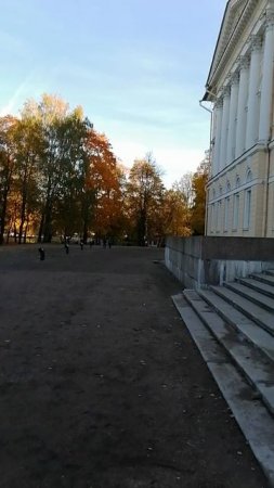 Золотая осень в Михайловском саду! Не пропустите -очень быстро придет!!!!
