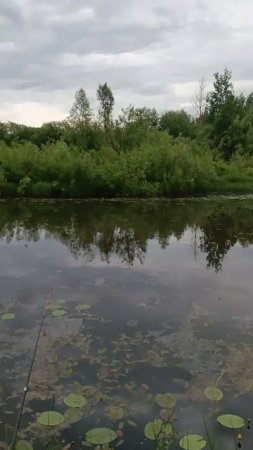 рыбалка