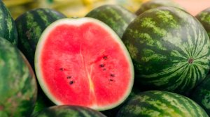 Сочные и сладкие арбузы созрели в Хатлонской области Таджикистана