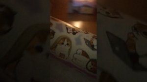 ВеЛиКиЕ пУтЕшЕсТвЕнНиКи 4 ЧаСтЬ (фИнАл)🙃🙃🙃🙃🙃🙃🙃🙃🙃🙃🙃🙃