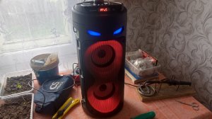 Type-C на 6 контактов в колонке