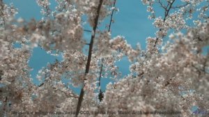 Эта песня - ваш секретный код для спонтанных путешествий - Head-Jive -- Ketsa -- Unified Division