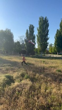 пускаем с другом на лебяжьей поляне воздушного змея