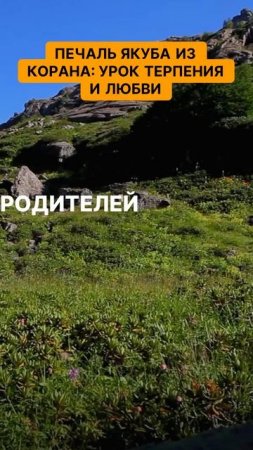Печаль Якуба из Корана - урок терпения и любви
