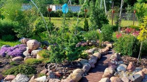 Дача после проливных,затяжных дождей🌦.Прогулка🌿🍀🌞#обзордачи