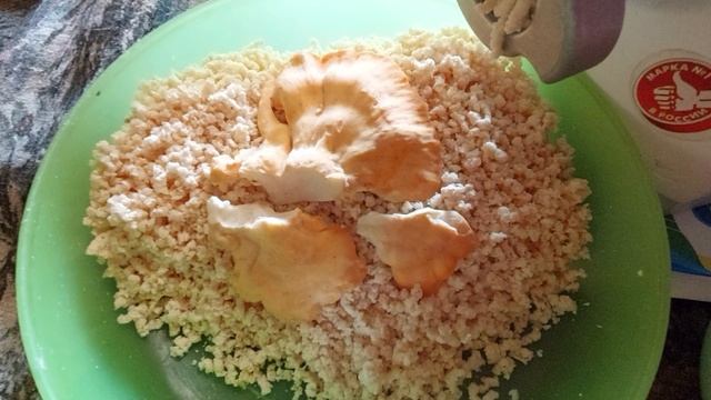 Трутовик Серно-Желтый, ТСЖ.  Применение. Заготовка.